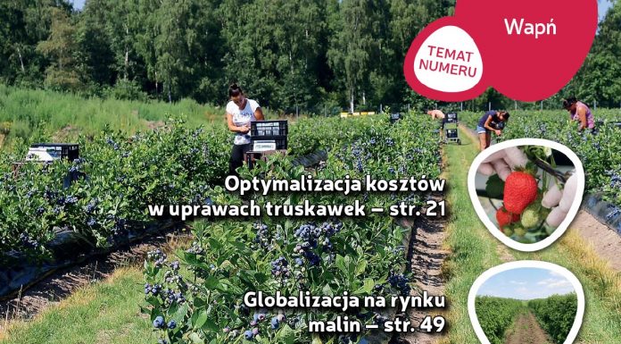 Jagodnik 6/2018 – już w sprzedaży