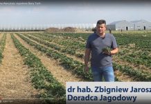 Warsztaty Jagodowe w ramach projektu Berry Tech 2018