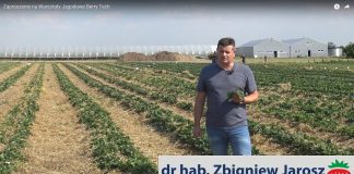 Warsztaty Jagodowe w ramach projektu Berry Tech 2018