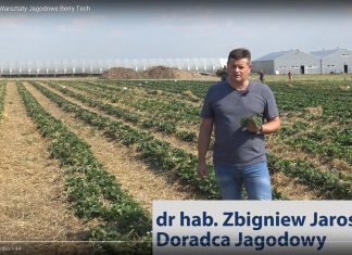 Warsztaty Jagodowe w ramach projektu Berry Tech 2018