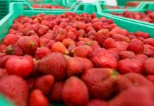 Umowy kontraktacyjne tematem spotkania w Centrum Dialogu Społecznego 25 lipca