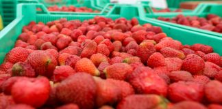 Umowy kontraktacyjne tematem spotkania w Centrum Dialogu Społecznego 25 lipca