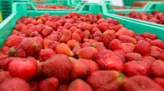 Umowy kontraktacyjne tematem spotkania w Centrum Dialogu Społecznego 25 lipca