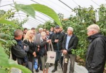 Malinowe Factory wskazuje na kierunki w uprawie malin