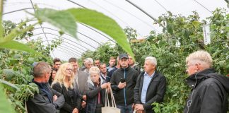 Malinowe Factory wskazuje na kierunki w uprawie malin