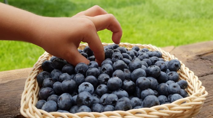Nie ma zdrowej diety bez owoców i warzyw