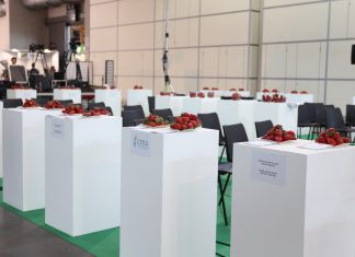 Włoskie odmiany truskawek