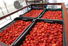 UOKiK wszczął postępowanie przeciwko spółce Döhler