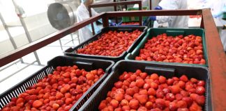 UOKiK wszczął postępowanie przeciwko spółce Döhler