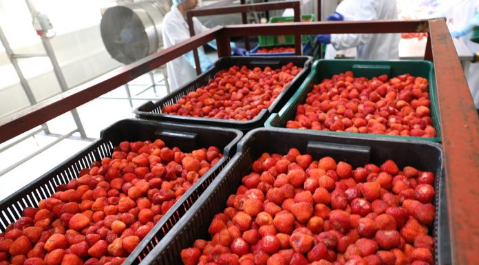 UOKiK wszczął postępowanie przeciwko spółce Döhler