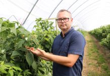 AntiBloc Mineral w uprawie malin