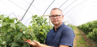 AntiBloc Mineral w uprawie malin