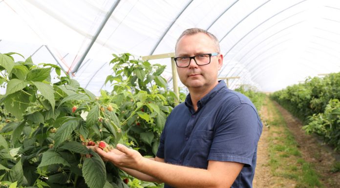 AntiBloc Mineral w uprawie malin