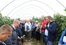 Malinowe Factory 2018 – podsumowanie 4 lat doświadczeń z uprawą malin. FILM