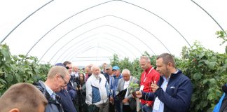 Malinowe Factory 2018 – podsumowanie 4 lat doświadczeń z uprawą malin. FILM