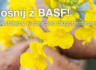 BASF finalizuje procedurę nabycia aktywów od firmy Bayer