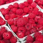 raspberry-1465988_1920