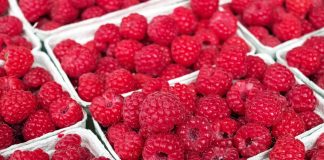 Odpowiedź KZGPOiW na apele