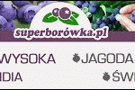 superborowka2018