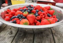 Jagodowe przez cały rok!