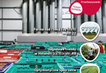 Jagodnik 7/2018 już w sprzedaży