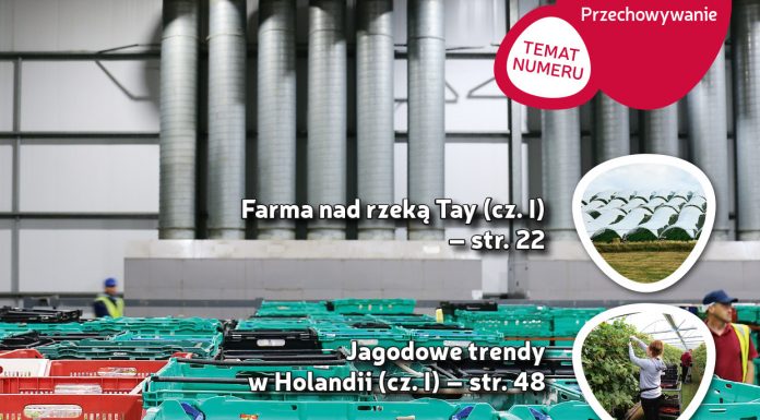 Jagodnik 7/2018 już w sprzedaży