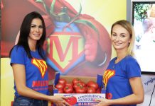 Jagodowe w zagłębiu pomidorowym – Gołuchów 2018