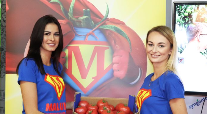 Jagodowe w zagłębiu pomidorowym – Gołuchów 2018