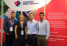 Działają razem – by dostarczać borówki przez cały rok