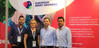 Działają razem – by dostarczać borówki przez cały rok