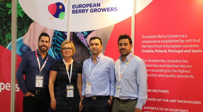 Działają razem – by dostarczać borówki przez cały rok