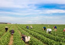 Ruch osobowy między Polską a Ukrainą – aktualne wytyczne