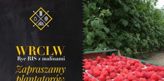 Malinowe piwo nie tylko we Wrocławiu. Premiera już w najbliższy piątek