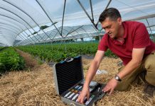 Analiza soku komórkowego w uprawie truskawek – do czego się przydaje?