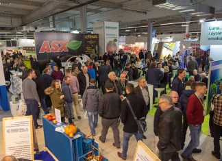 TSW 2019 już w styczniu
