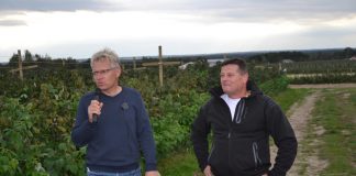 Podsumowanie sezonu z Doradcą Jagodowym