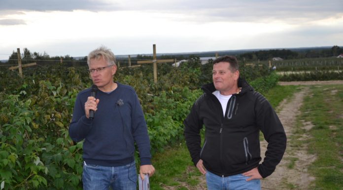 Podsumowanie sezonu z Doradcą Jagodowym