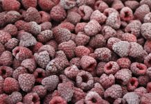 Kontrole ukraińskich malin na granicy