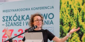 Poznając trendy rozwiniesz swój biznes