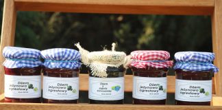 Większe wsparcie w ramach RHD i nowe koszty kwalifikowane