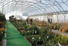 Zielony Show Room – 4 edycja