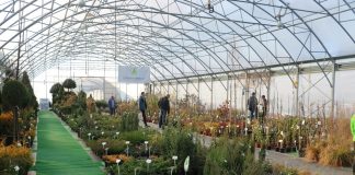 Zielony Show Room – 4 edycja