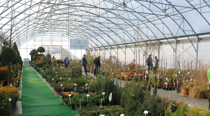 Zielony Show Room – 4 edycja