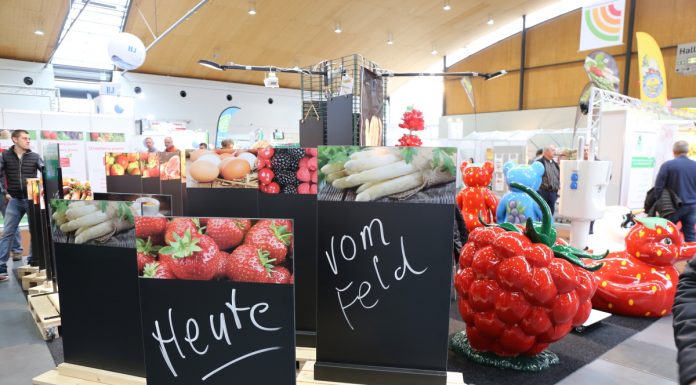 Malinowe i truskawkowe trendy, technologie i nowości na expoSE