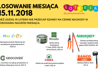 Wykorzystaj swoją szansę w listopadowym losowaniu nagród