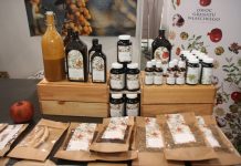 W poszukiwaniu jagodowej niszy (Cz. 1)