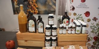 W poszukiwaniu jagodowej niszy (Cz. 1)