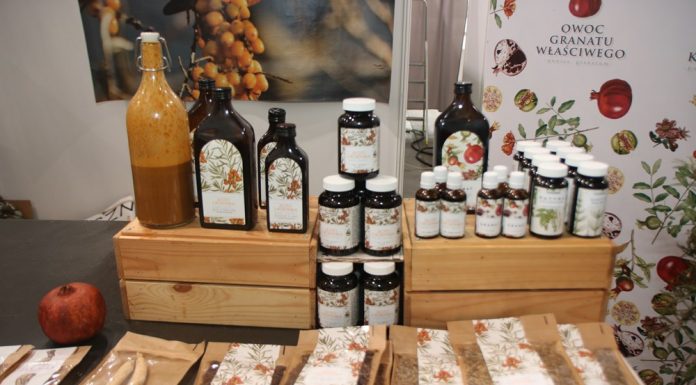 W poszukiwaniu jagodowej niszy (Cz. 1)