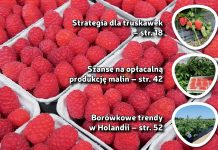Jagodnik 8/2018 – co ciekawego w bieżącym numerze?