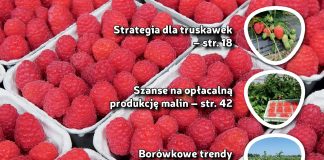 Jagodnik 8/2018 – co ciekawego w bieżącym numerze?